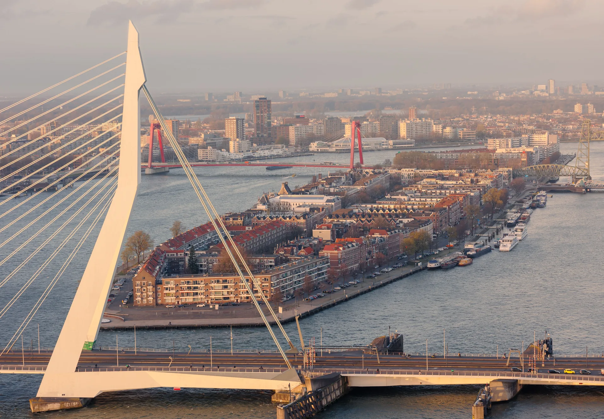 Aerial view of the Erasmus Bridge and the Rotterdam skyline along the river Maas